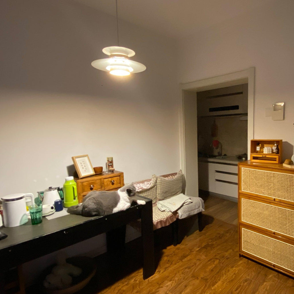 Astraea Pendant Light With Timeless Elegance And Warm Glow | Snurv