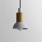 Liora Metal and Wood Pendant Lights | Knesse