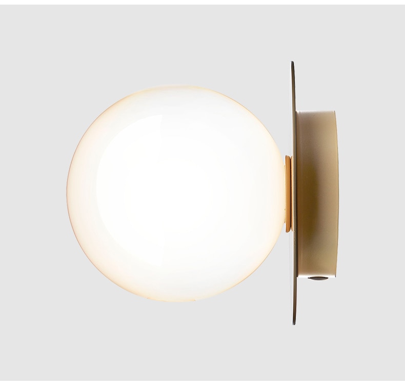 Globe Ceiling Light With Metal Plate | Knesse