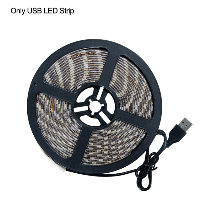 LumaSense Motion-Activated Closet Light | Knesse