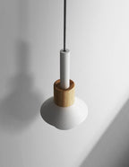 Liora Metal and Wood Pendant Lights | Knesse
